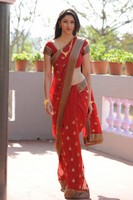 Tanvi Vyas Saree Photos